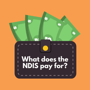 What does the NDIS pay for?